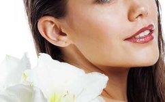 成人电无码日本